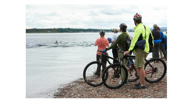 Cafe Campsite poster